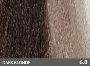 BACO COLOR GLAZE 6.0 60ML