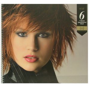 HILIFT APPT BOOK 6COL