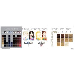 REFECTOCIL COLOUR MATCH BROCHURE