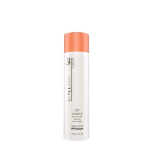 STYLEART DRY SHAMPOO 175G