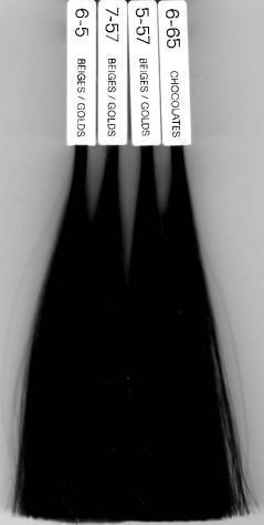 IGORA ROYAL BOARD UPDATE 9/21