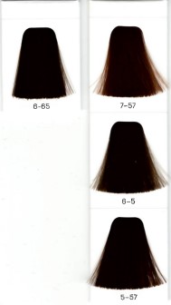 IGORA ROYAL COMPACT BOOK UPDATE