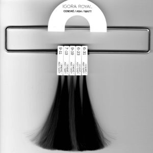 IGORA ROYAL BOARD UPDATE COOL LE