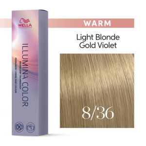 ILLUMINA COLOR 8/36